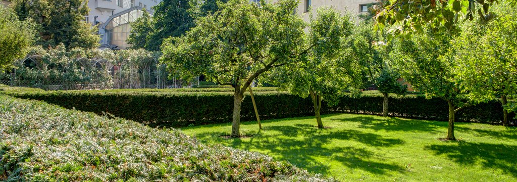 Rooms with a view to Franciscan Garden